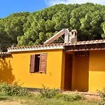 Vittorio