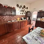 فيلة Vittorio *