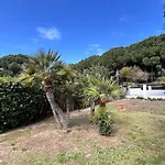 Vittorio فيلة *